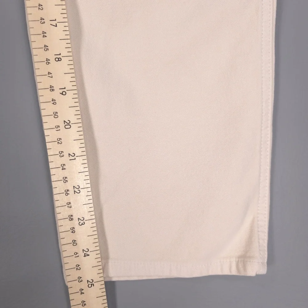 Wilfred Free Aritzia‎ Brennan High Rise Utility Carpenter Pants Size 2
